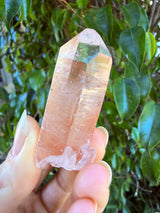 Lotus Quartz 4: Ally