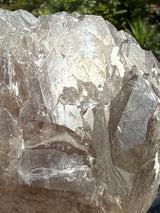 1.75lb RUTILATED Smoky Citrine from Brazil: DT, ET, Elestial, Record Keeper etc.