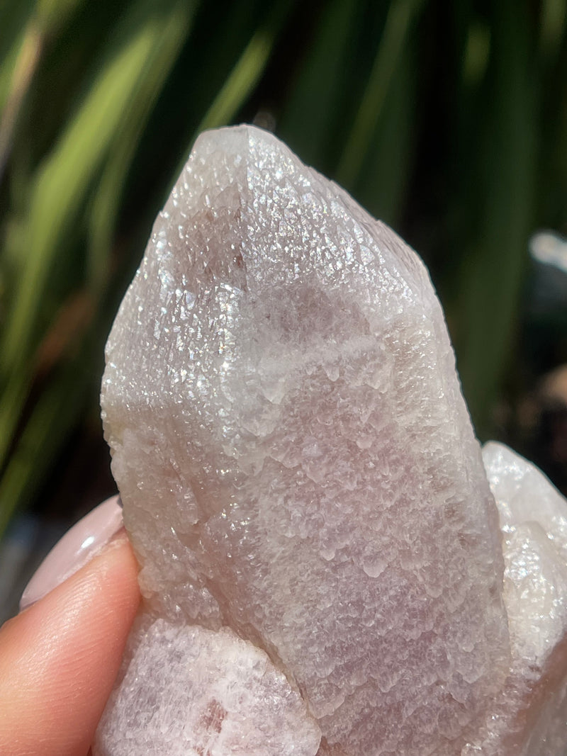 RARE "Dragon Scale" Terminated Pink Dreamsicle Lemurian from Diamantina Brazil, Rare Lemurian, Lemurian Cluster, Pink Lemurian, Dreamsicle