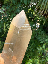 6" Extreme grade Natural CITRINE Lemurian Seed Crystal from Minas Gerais, Brazil- Channeler, Starbrary, Laser, Rainbows etc