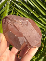 Rare: Triplet DT Scarlet Temple Lemurian cluster from Brazil, Red Lemurian, Lemurian Seed Crystal,Lemurian Cluster,Rare Lemurian,DT Lemurian