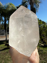 3.5+lb Self Standing Clear Lemurian Seed Crystal from Brazil