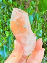 Lotus Quartz 10: Penetrator