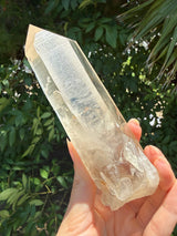 6" Extreme grade Natural CITRINE Lemurian Seed Crystal from Minas Gerais, Brazil- Channeler, Starbrary, Laser, Rainbows etc