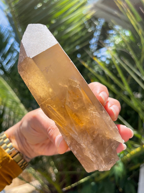 Large saturated Natural CITRINE point from Zambia, FAIR TRADE, Natural Citrine, Citrine Point, Zambian Citrine, Raw Citrine, Citrine Zambia