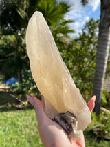 Rare Natural CITRINE Laser Cathedral Point from Brazil, Natural Citrine, Laser Quartz, Cathedral Quartz, Citrine Laser, Citrine Cathedral