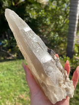 Rare Natural CITRINE Laser Cathedral Point from Brazil, Natural Citrine, Laser Quartz, Cathedral Quartz, Citrine Laser, Citrine Cathedral