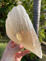 Rare Natural CITRINE Laser Cathedral Point from Brazil, Natural Citrine, Laser Quartz, Cathedral Quartz, Citrine Laser, Citrine Cathedral