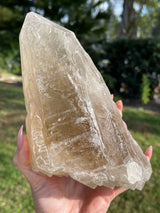Rare Natural CITRINE Laser Cathedral Point from Brazil, Natural Citrine, Laser Quartz, Cathedral Quartz, Citrine Laser, Citrine Cathedral