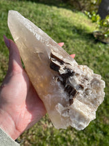 Rare Natural CITRINE Laser Cathedral Point from Brazil, Natural Citrine, Laser Quartz, Cathedral Quartz, Citrine Laser, Citrine Cathedral