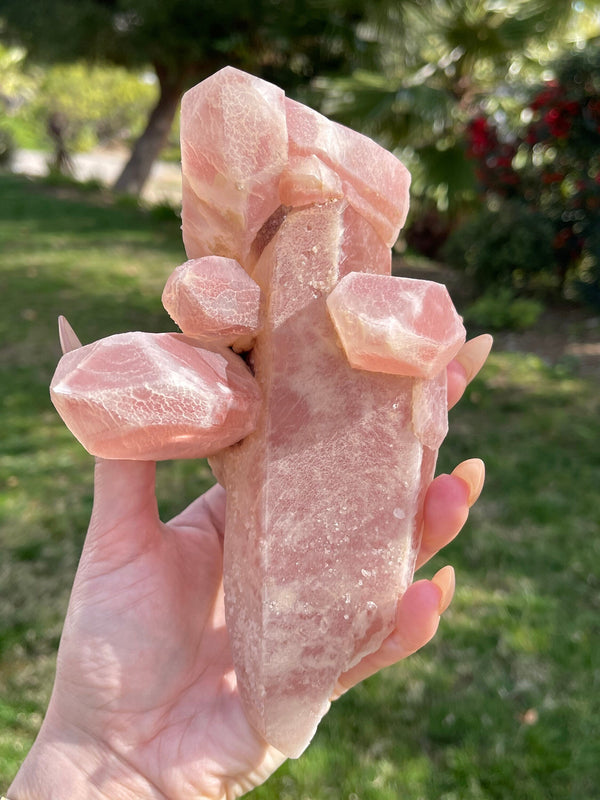 2+lb Scarlet Temple Lemurian cluster from Diamantina, Brazil, Red Lemurian, Pink Lemurian, Lemurian Seed, Lemurian Cluster, Rare Lemurian