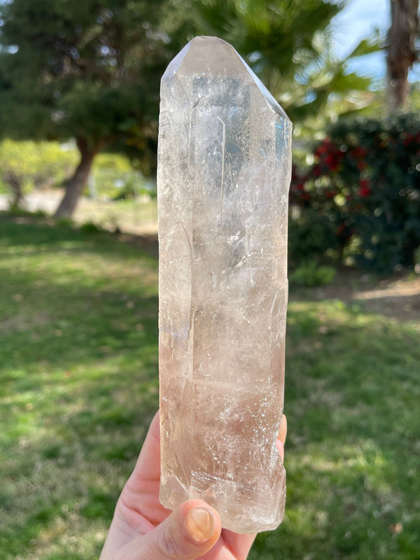 2lb Starbrary Record Keeper SMOKY Lemurian Seed Crystal from Brazil,Master Record Keeper,Rare, Smoky Lemurian, Lemurian Point,Large Lemurian