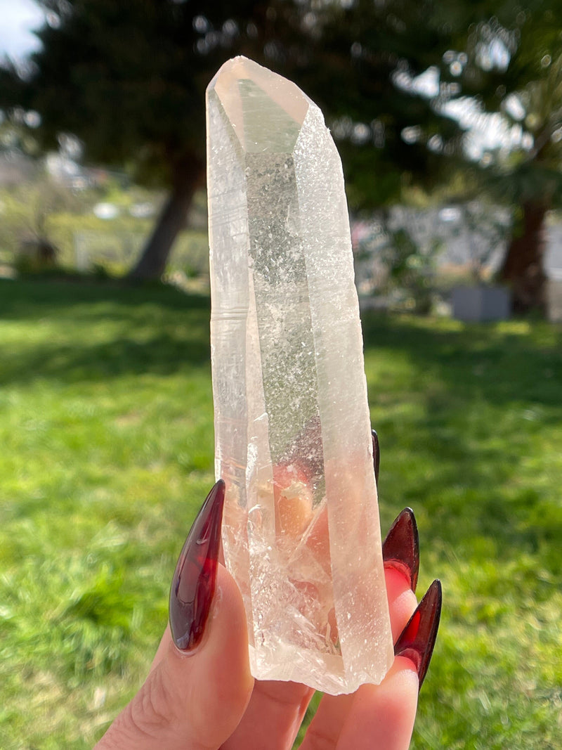 Starbrary Citrine Lemurian Seed Crystal from Minas Gerais, Brazil, Lemurian Seed Point, Lemurian Seed Crystal, Lemurian Seed Wand