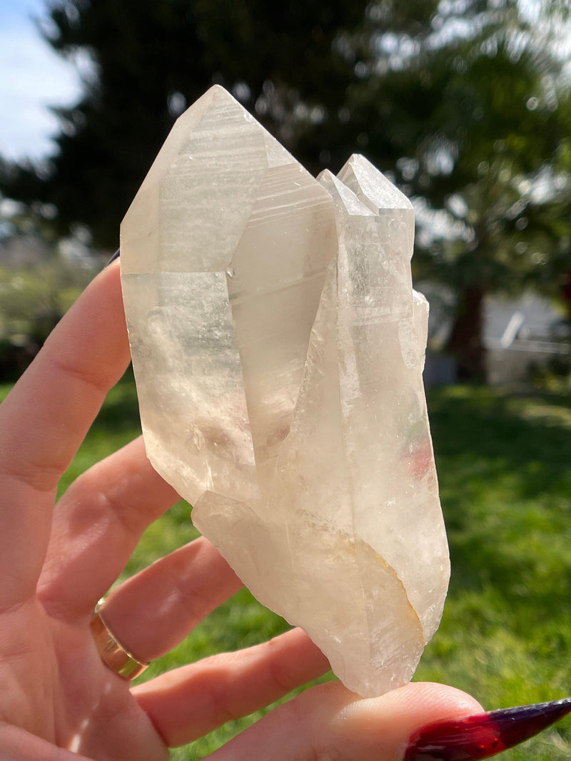 Tantric Twin ET Citrine Lemurian Seed Crystal from Minas Gerais, Brazil, Lemurian Seed Point, Lemurian Seed Crystal, Lemurian Seed Wand