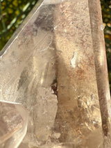 Rare MANIFESTATION Smoky Lemurian Seed Crystal Cluster with Hematite from Brazil, Cross Quartz, Manifestation Quartz, Rare Lemurian