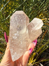 Rare MANIFESTATION Smoky Lemurian Seed Crystal Cluster with Hematite from Brazil, Cross Quartz, Manifestation Quartz, Rare Lemurian