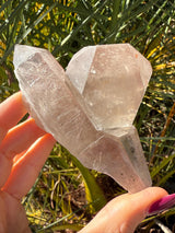 Rare MANIFESTATION Smoky Lemurian Seed Crystal Cluster with Hematite from Brazil, Cross Quartz, Manifestation Quartz, Rare Lemurian