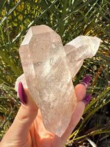 Rare MANIFESTATION Smoky Lemurian Seed Crystal Cluster with Hematite from Brazil, Cross Quartz, Manifestation Quartz, Rare Lemurian
