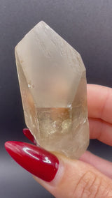 Raised RECORD KEEPER Starbrary Citrine from Brazil