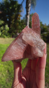 Dreamsicle Scarlet Temple Lemurian Seed Crystal from Brazil, Lemurian Seed Point, Lemurian Seed Crystal, Lemurian Seed Wand,Red Lemurian