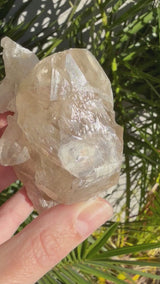Rare: Thousand Layer Quartz Citrine, with Elestial formations from Brazil