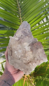 5.25+ lb Rare Lithium Lemurian Quartz Cluster