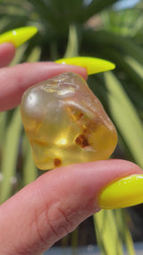 "JOY": High Grade Amber from Colombia, Colombian Amber, Tumbled Amber, Authentic Amber