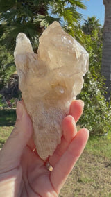 Rare: Thousand Layer Quartz Citrine, with Elestial formations from Brazil