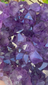 4.5+ lb Grape-Jelly Amethyst Geode Cluster from Brazil