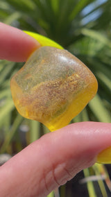 "CONSTELLATION": High Grade Amber from Colombia, Colombian Amber, Tumbled Amber, Authentic Amber