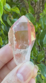 Lotus Quartz 3: Record Keeper