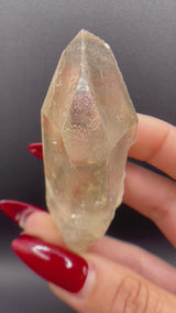 Raised RECORD KEEPER Starbrary Citrine from Brazil