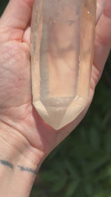 6" Extreme grade Natural CITRINE Lemurian Seed Crystal from Minas Gerais, Brazil- Channeler, Starbrary, Laser, Rainbows etc