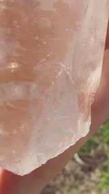 Lotus Quartz 11: Manifestation + Penetrator