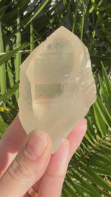 Rare DOW Natural CITRINE Lemurian Seed Crystal from Minas Gerais Brazil
