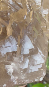 1.75lb RUTILATED Smoky Citrine from Brazil: DT, ET, Elestial, Record Keeper etc.