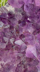 4.5+ lb Grape-Jelly Amethyst Geode Cluster from Brazil