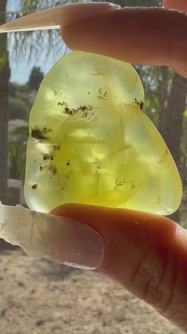 Gem Grade Australian Prehnite F