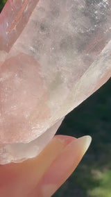 Lotus Quartz 6: Phantom