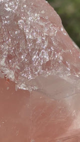 Lotus Quartz 7: ET + Penetrator + Record Keeper