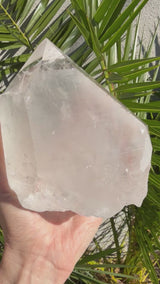 3.5+lb Self Standing Clear Lemurian Seed Crystal from Brazil