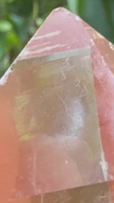 Lotus Quartz 3: Record Keeper