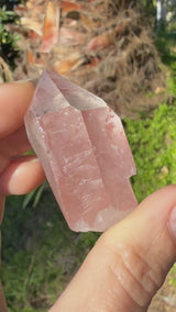 Lotus Quartz 2: Divine Feminine