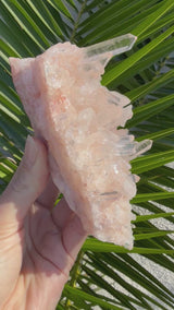 Pink Himalayan Quartz Cluster, Samadhi Himalayan Quartz