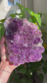 4.5+ lb Grape-Jelly Amethyst Geode Cluster from Brazil