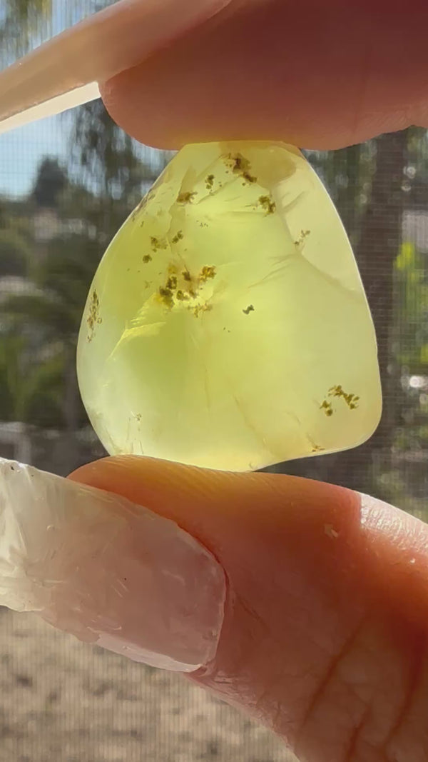 Gem Grade Australian Prehnite D