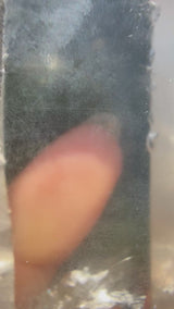 6" Extreme grade Natural CITRINE Lemurian Seed Crystal from Minas Gerais, Brazil- Channeler, Starbrary, Laser, Rainbows etc