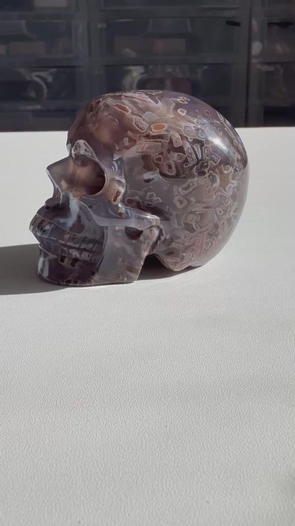 Skull: Large Stick Agate