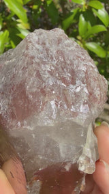 "Rainbow Brite": 5" Sugar Plum Quartz from Goias, Brazil: Rainbows, ET, Ally, Penetrator, Sigils, etc