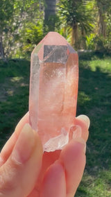 Lotus Quartz 4: Ally